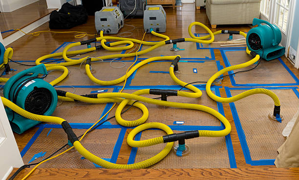 Professional Sewage Cleanup technician working in Dighton, MA